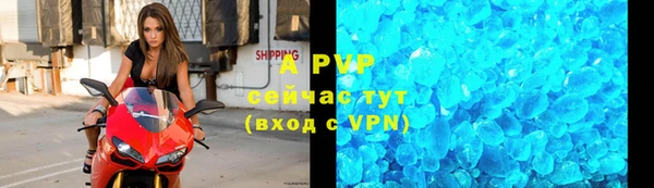 прущие грибы Каменка