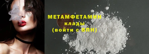 прущие грибы Каменка