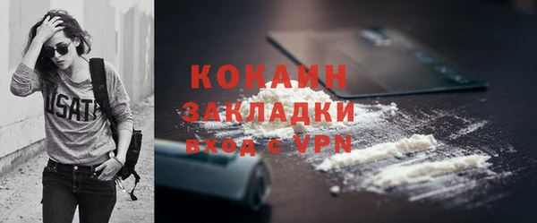 шишки Новодвинск