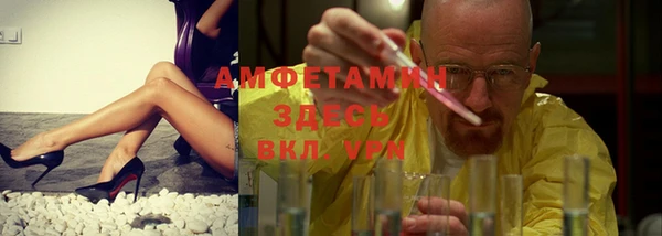 прущие грибы Каменка