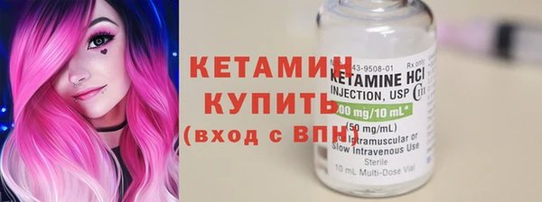 стаф Каменногорск