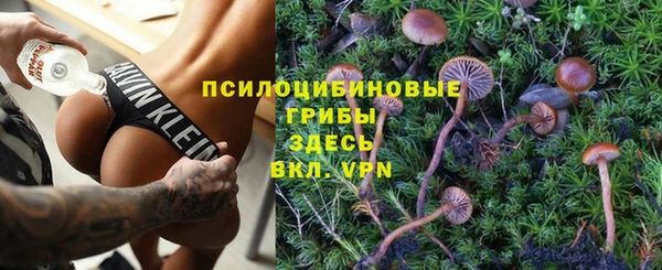 прущие грибы Каменка