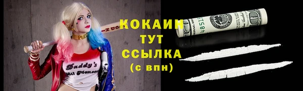 прущие грибы Каменка