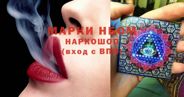стаф Каменногорск