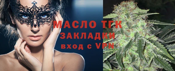прущие грибы Каменка