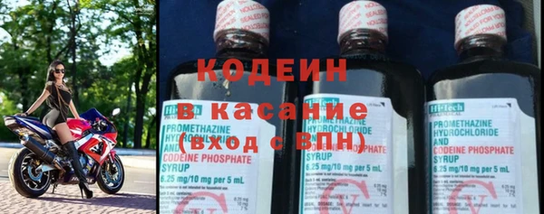 стаф Каменногорск