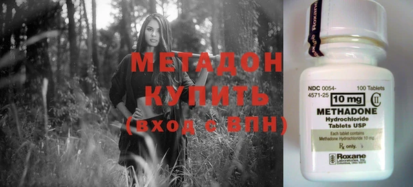 стаф Каменногорск