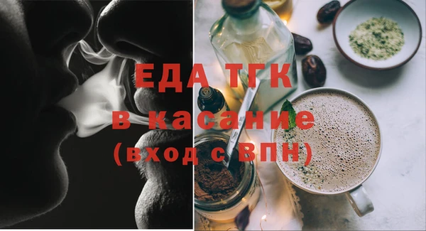 индика Инсар