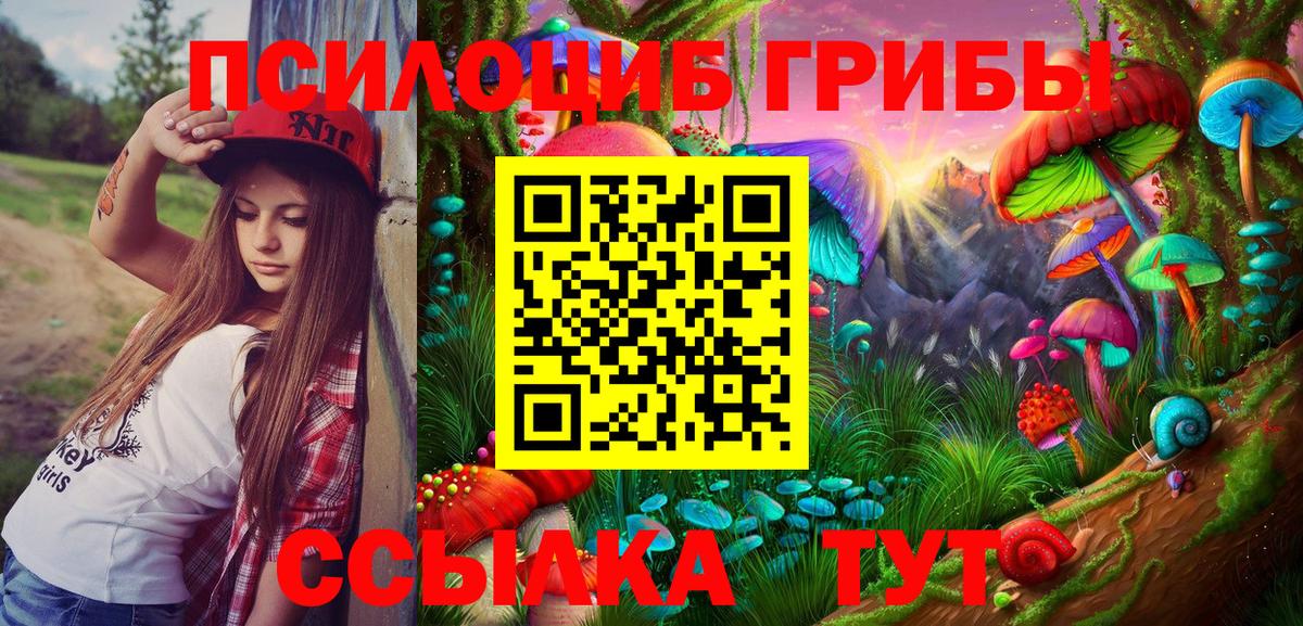 Лесной  Галлюциногенные грибы MAGIC MUSHROOMS  Галлюциногенные грибы Psilocybine cubensis  Вход с VPN 